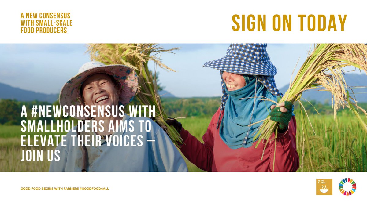 SDG2AdvocacyHub's tweet photo. Welcome back! We're continuing our discussion on the #NewConsensus with Small-Scale Food Producers which highlights 8️⃣calls to action. Today marks number 6️⃣!
 
Read all 8 calls to action and the full consensus here 👉https://t.co/PEj9wU99fJ https://t.co/ygyLCY1aWl