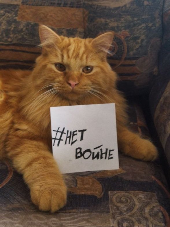 Молодой оппозиционер Ватсон говорит свое огненное #НетВойне
🔥🔥🔥 Присоединяйтесь! #КотикиПротивВойны