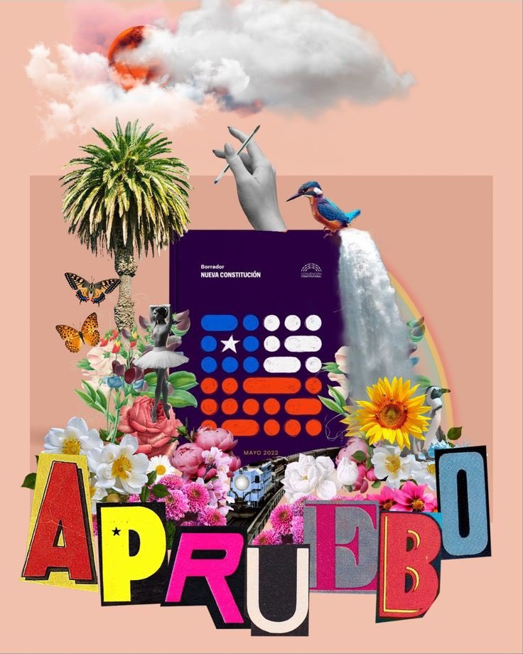 ClaudiaDides's tweet photo. Ya está llegando la primavera, llena de colores diversos. #Apruebo4deSeptiembre #Apruebo #AprueboUnChileMejor https://t.co/ODCPi3WbFk