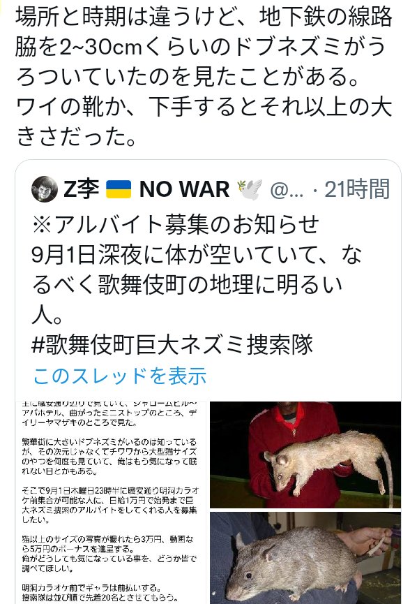 تويتر 緑の五寸釘 على تويتر 新宿に潜む巨大ネズミ を捜索するバイト募集のtweetにくっついてる目撃情報をひたすら拾い集めている ロマンがあるね タキタロウやヒバゴンといったumaの一員に新宿のお化け ネズミを加えたい T Co Ond4jgb5mi
