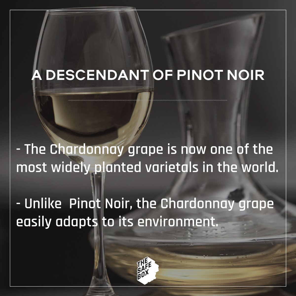 TheSafeBoxNFT's tweet photo. Going further... 
Know more about #Chardonnay, the golden varietal from #Bourgogne 

#NFT #blockchain #innovation #wine #grapevariety https://t.co/ezq8hDqsOs