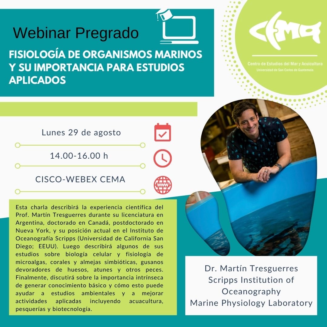 m3guerres tweet media