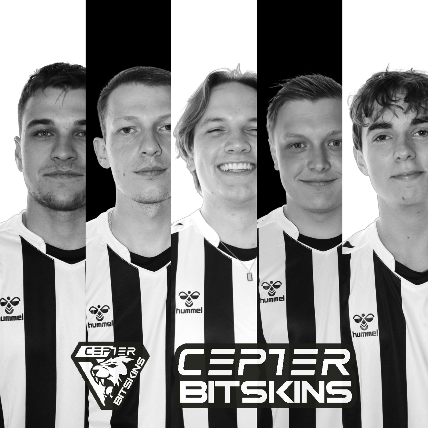 CEPTER BITSKINS on Twitter:
