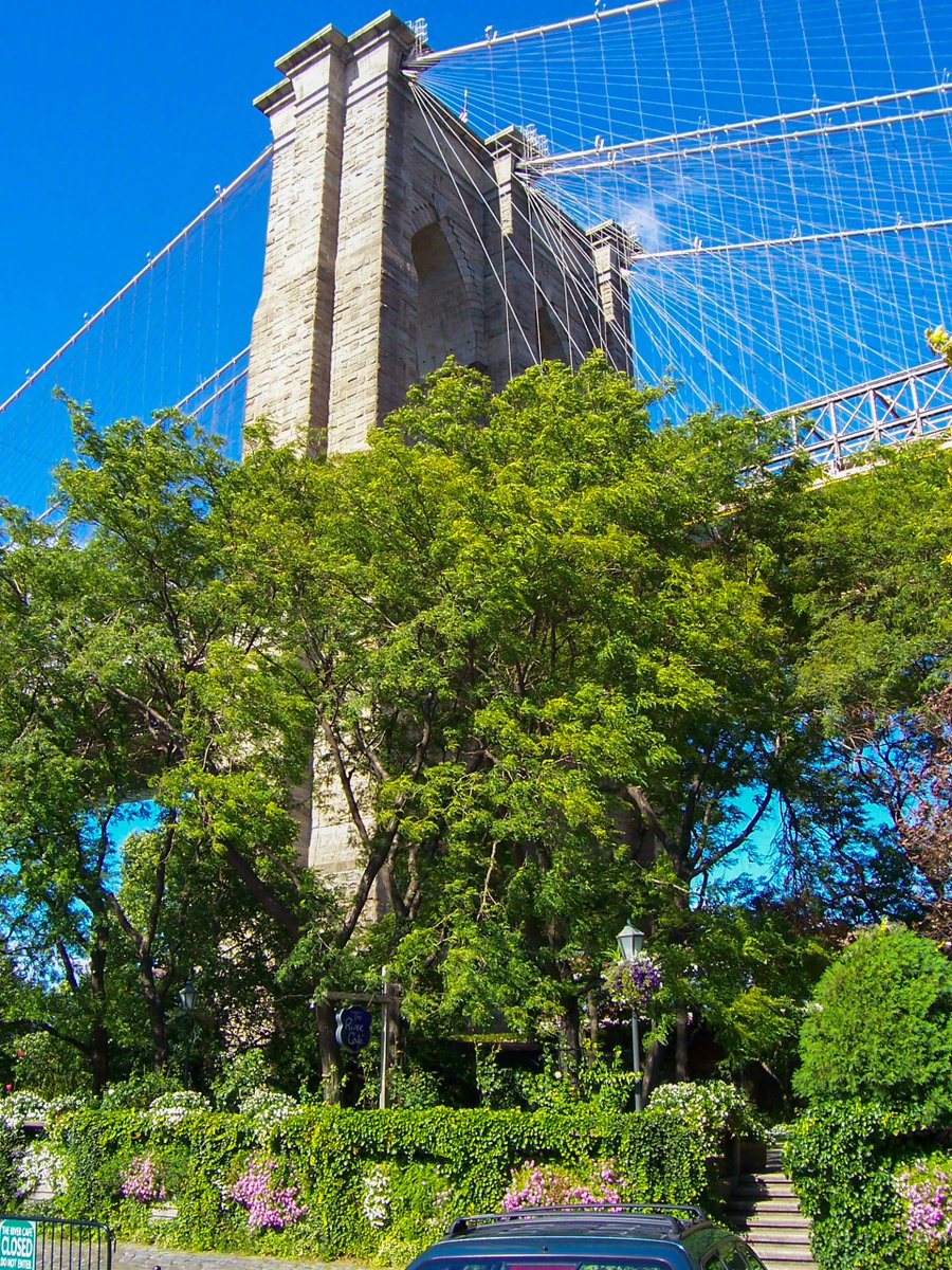 se_we's tweet photo. Hoch hinaus: Bäume rund um einen der Pfeiler der Brooklyn Bridge, New York City
#brooklynbridge #brooklynbridgenyc #manhattan #Newyorkcity #visitnewyorkcity #lovingnewyork #travelphotography #streetphotography #newyorklife #ilovenewyork #streetsofnyc #brooklyn https://t.co/0qENVC6E42