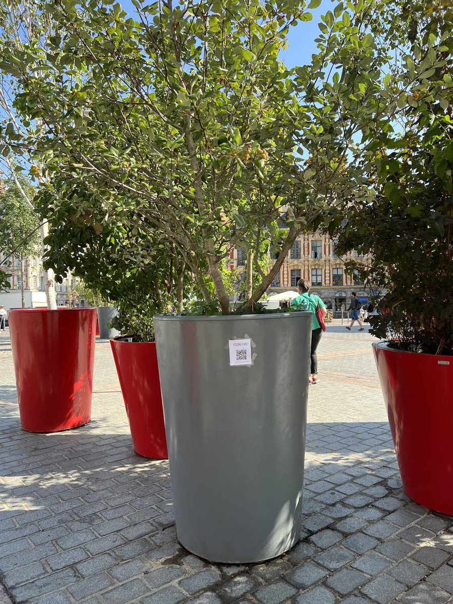 flurtcobain's tweet image. damn i’m feeling really lazy in lille, france #FeelingLazy💤

@babyqueen