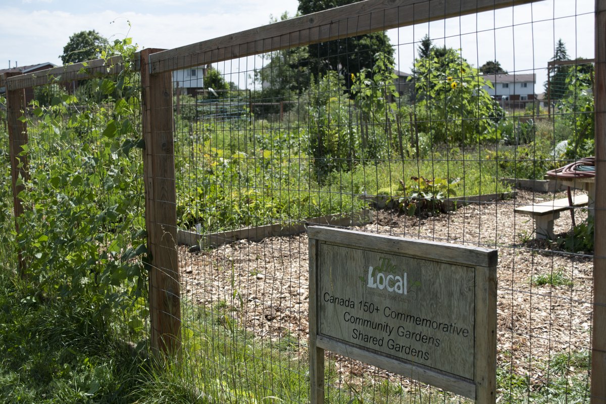 ErbTransport's tweet photo. We are happy to share we've donated $5000 to @TheLocalCFC in Stratford to help empower those with barriers to food accessibility by supporting their opportunities to cook, grow, learn and advocate for good food for everyone in the community!
#anothercoolmove https://t.co/XrKYxORFE3