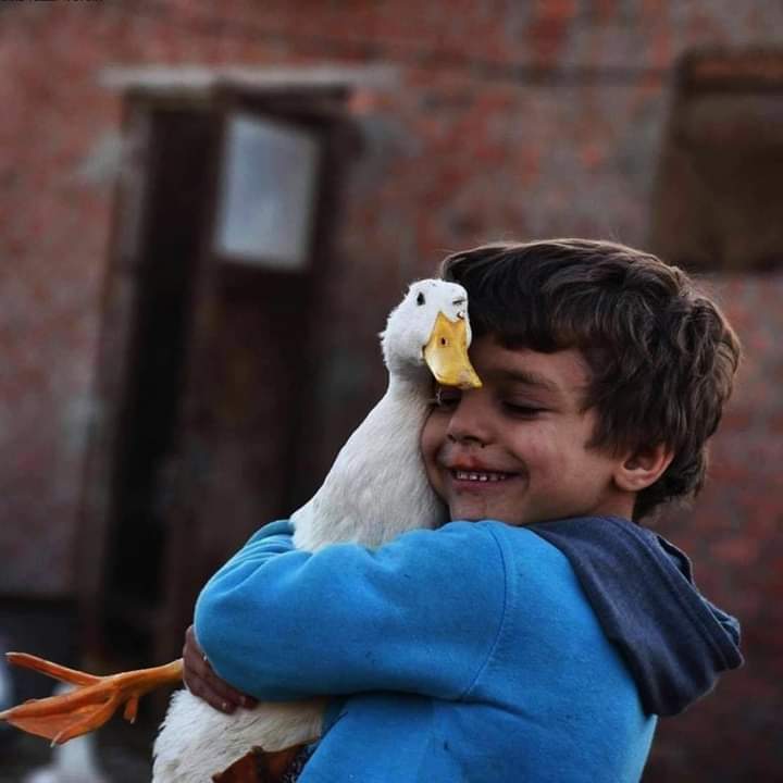 sobhey_amer's tweet photo. (  وَمَنْ يَتَّقِ اللَّهَ يَجْعَلْ لَهُ مَخْرَجًا  وَيَرْزُقْهُ مِنْ حَيْثُ لَا يَحْتَسِبُ وَمَنْ يَتَوَكَّلْ عَلَى اللَّهِ فَهُوَ حَسْبُهُ إِنَّ اللَّهَ بَالِغُ أَمْرِهِ قَدْ جَعَلَ اللَّهُ لِكُلِّ شَيْءٍ قَدْرًا ) https://t.co/RV5M5Io4eC