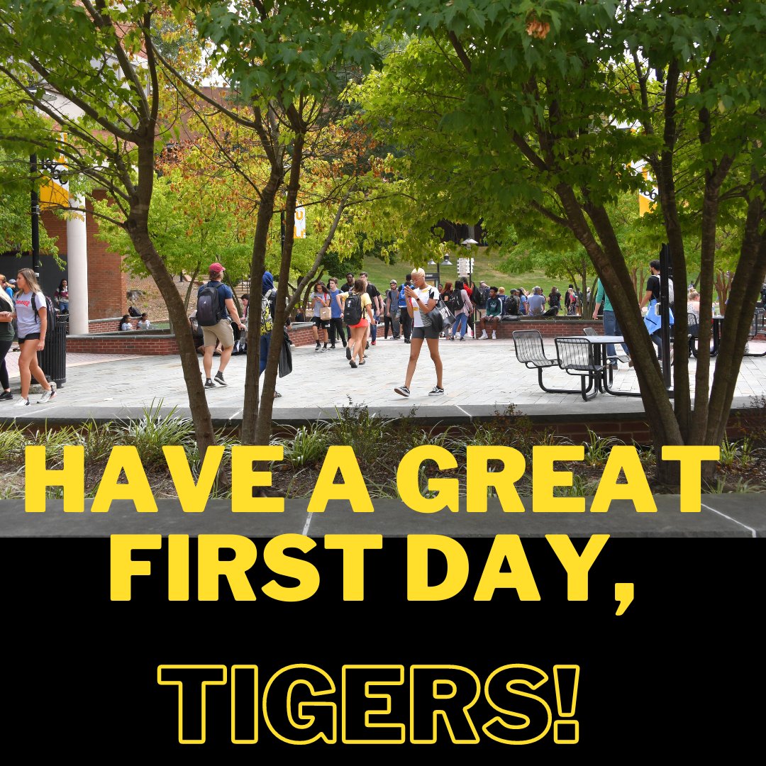 TU Academic Advising tweet media