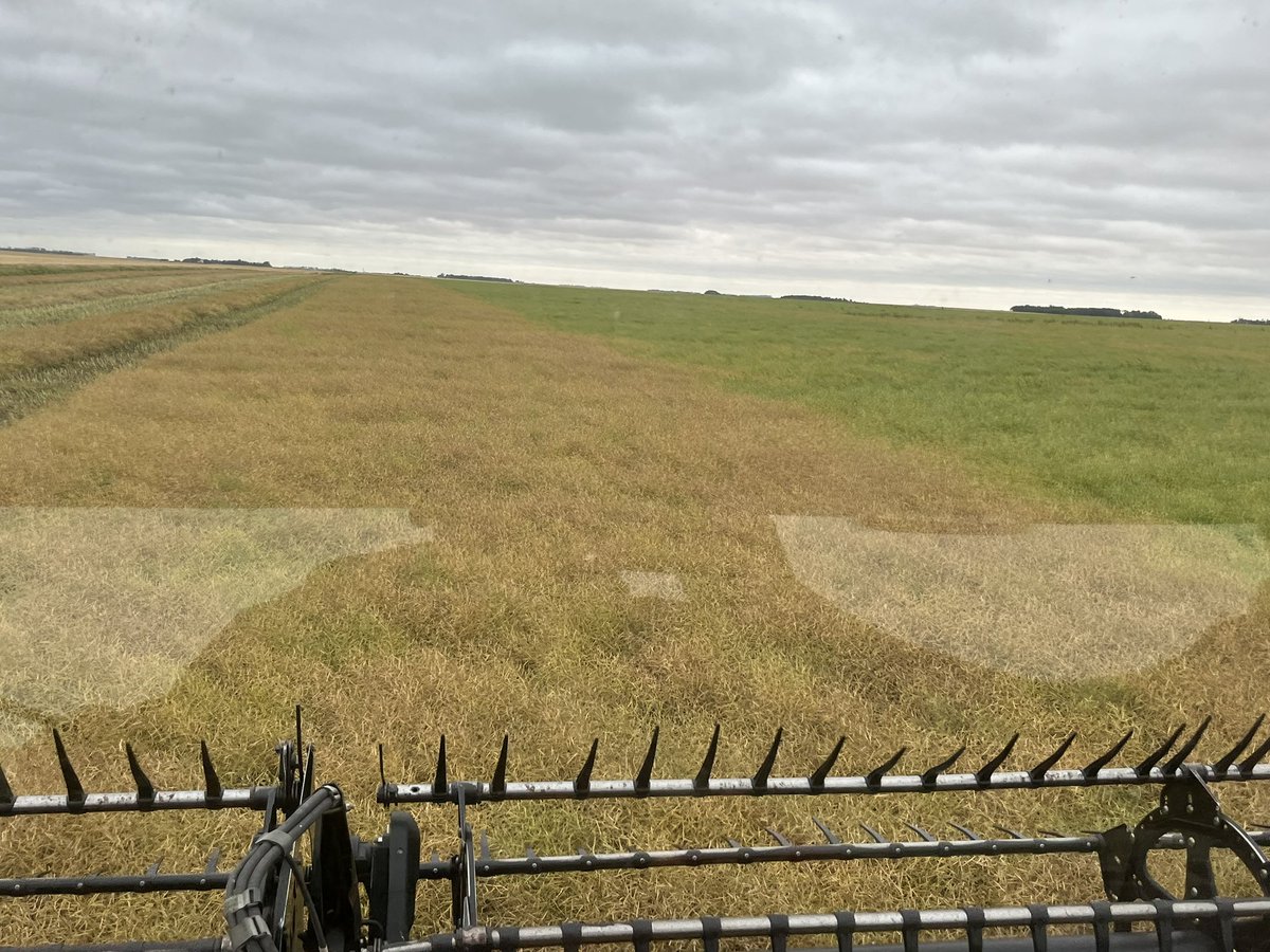 Walter Smith tweet media