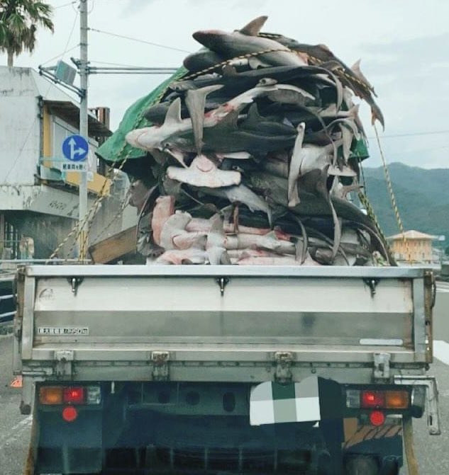 DAISUKE-BASE tweet media