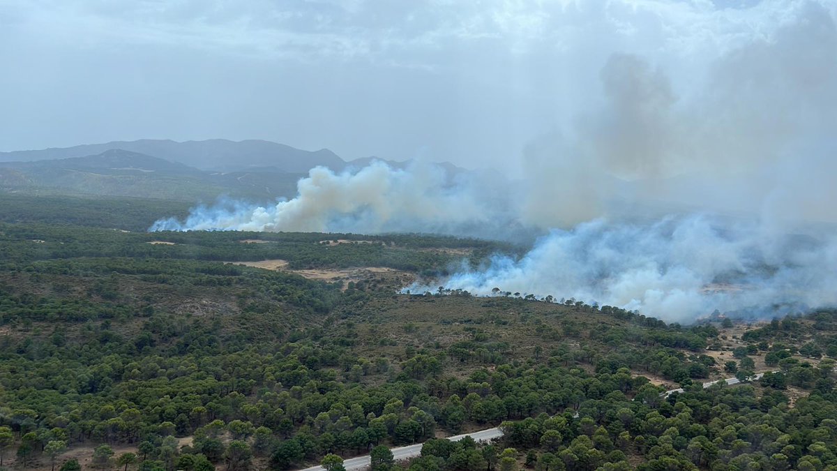 Plan_INFOCA's tweet photo. 🔴#IFAlbuñuelas, ACTIVO, paraje Llano de los Alacranes.
Actualizamos medios:
🚁7 (4 de ellos pesados -2 Súper Puma y 2 Kamov-),
🛩️4 de carga en tierra y 1 ACO,
🚒3 autobombas y la Unidad Médica.
👨‍🚒4 Brica (36), 34 bomberos forestales, 2 #AAMM y 3 #TOP. 
🚜1 Buldócer. https://t.co/nSMbWkGzqv