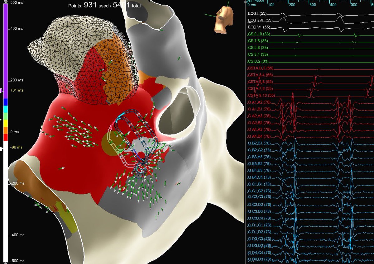 maddyferraro tweet media