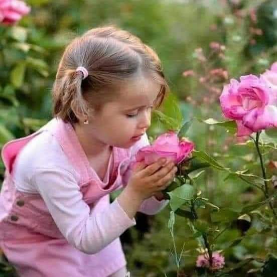 sobhey_amer's tweet photo. لا تحب الا كريما ولا تقارب الا محترما ولا تصارح الا صادقا.. فان الكريم لن يرضى حتى يفوقك حبا والمحترم سيرعاك ويحفظك ودا والصادق لن يداهنك او يخادعك. https://t.co/mUohtkFnOb