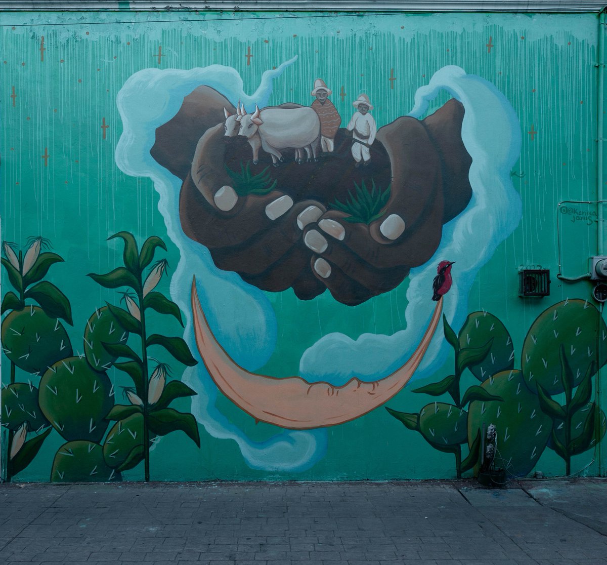 wegotaccent's tweet photo. Connection with rain.
The beauty of rain and we only notice when we are aware of the importance of it.
Artist: @kariinajanis
#wallart #graffiti #artist #streetart #canvas #cholulapueblomagico #muralart #artistwomen #wegotaccent https://t.co/gRz6nV5EoU
