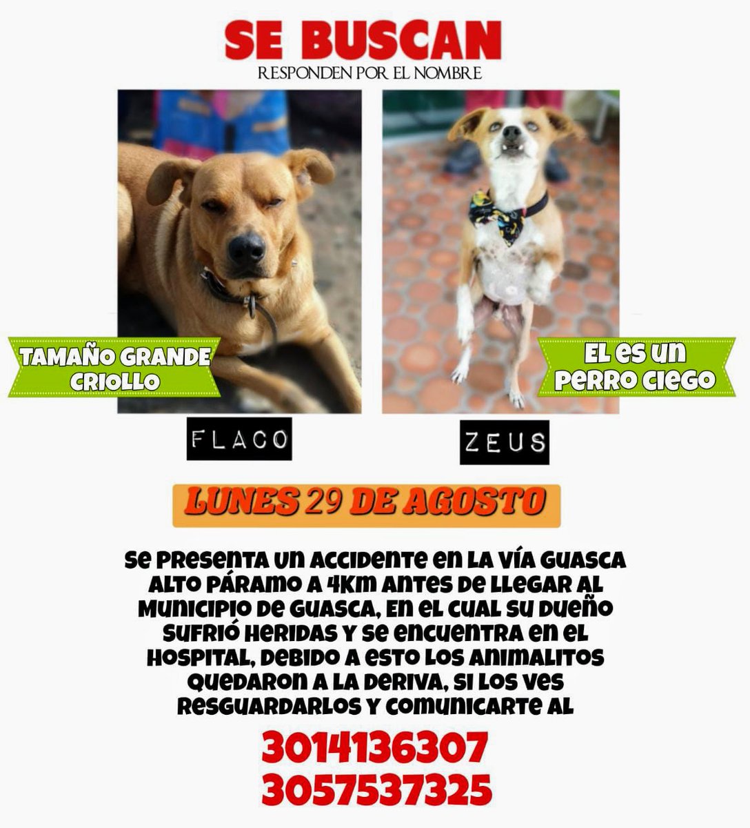 Al Día Con Los Animales 🐾 tweet media