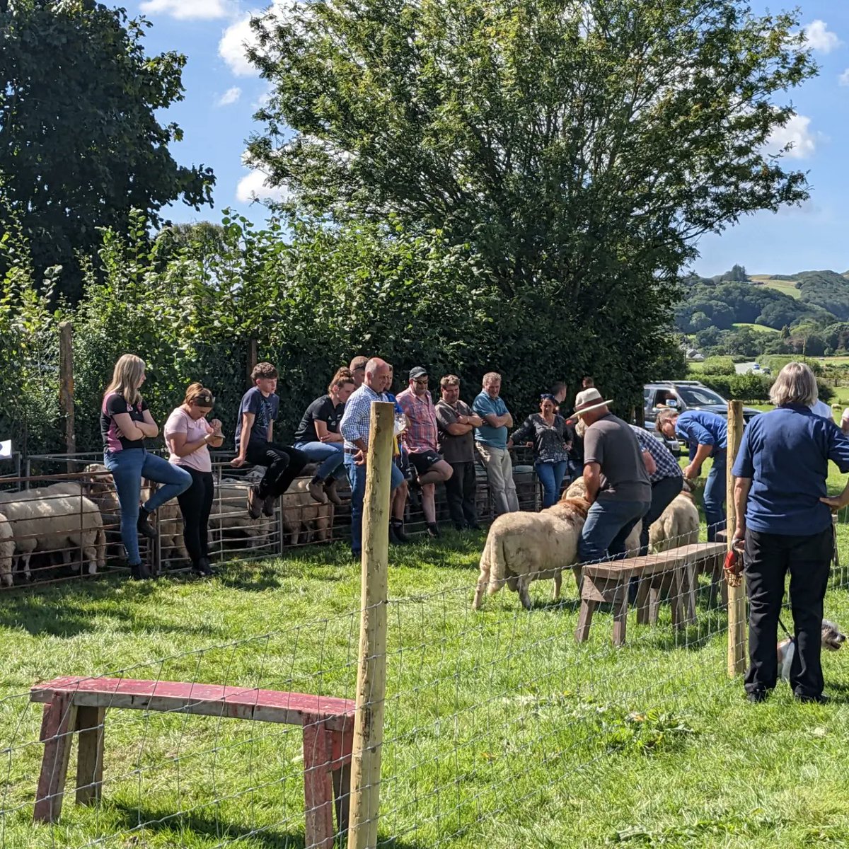 menter_y_glan's tweet photo. We had a great weekend in Pennal with a very successful village show on Saturday and speed shears celebrating 10 years in Glan yr Afon on Sunday.
#community #cymuned #pennal #pentref #savetheglan #villagelife #countrypub #countryliving #tafarncymunedol #tafarn #pub #sheep #show https://t.co/bcn5UIk1ov