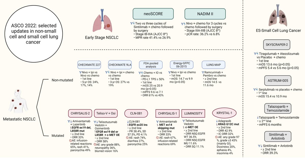 🔥 Recap of Key Takeaways in Lung Cancer as presented at #ASCO22 with co-authors @FawziAbuRous @drRTee @msalmanfaisal @ADesaiMD 

👉🏽bit.ly/3AVWLm7

@ASCO @OncoAlert @HemOncFellows #lcsm