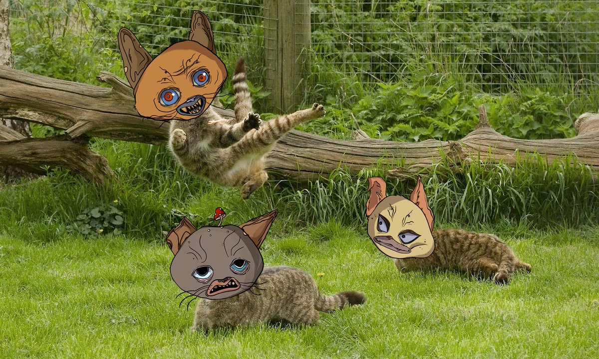 No matter what, Cats will always be Cats!