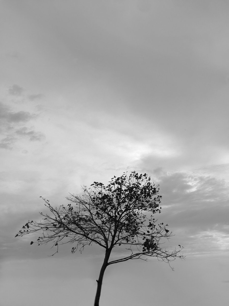 an_it_h's tweet photo. Be your own light
#blacktree #tree #black #art #trees #halloween #nature #blue #photography #blackandwhite #sky #picoftheday #naturephotography https://t.co/9AUNLEVoVb
