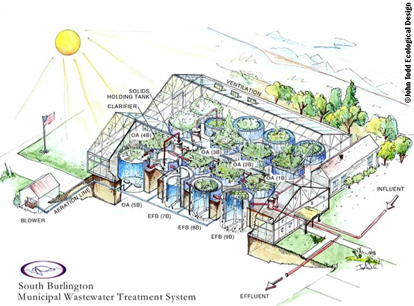 Here's how communities clean polluted water with sunlight and life forms, without chemicals and sewage pellets that harm agriculture. A Water Machine turns sewage, industrial waste with heavy metals and anything in between into pristine water.
Watch&gt;
n2k.world/innovationsand…