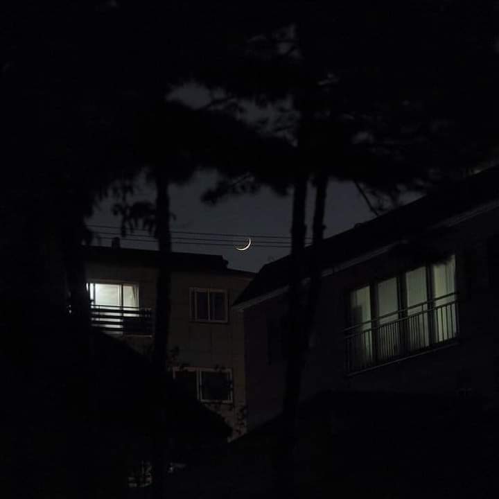 aestheticspost_ tweet picture