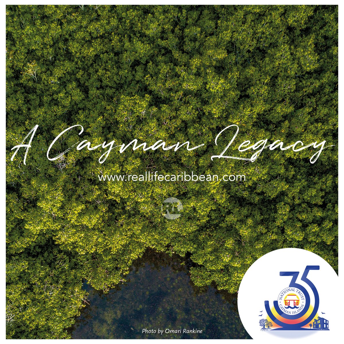 REAL LIFE Caribbean tweet media