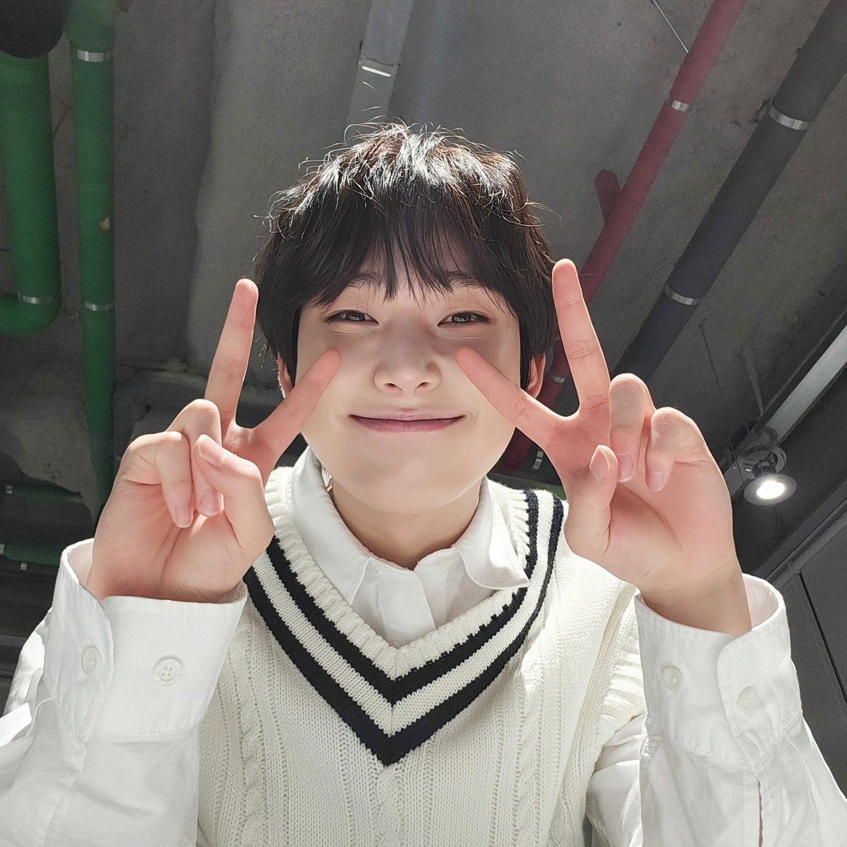 mifforsun's tweet photo. 귀여워서정신나갈것같애… https://t.co/GL4oCYbhjt