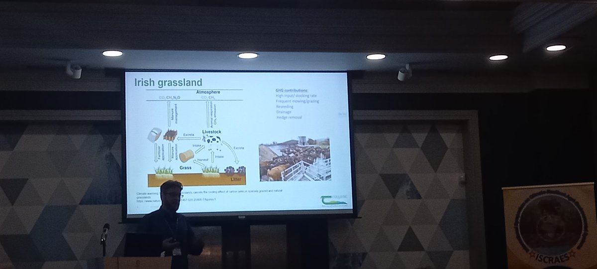 Rachael Murphy tweet media