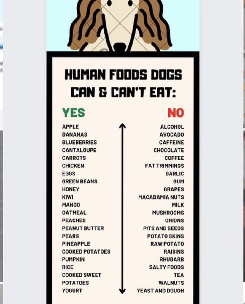 tails_tell's tweet photo. Here’s a helpful chart to make sure your furry friends remain healthy and happy! #doglovers #dogs #pets #petlovers #animalrights #itstheirworld https://t.co/mYn85RgPpB