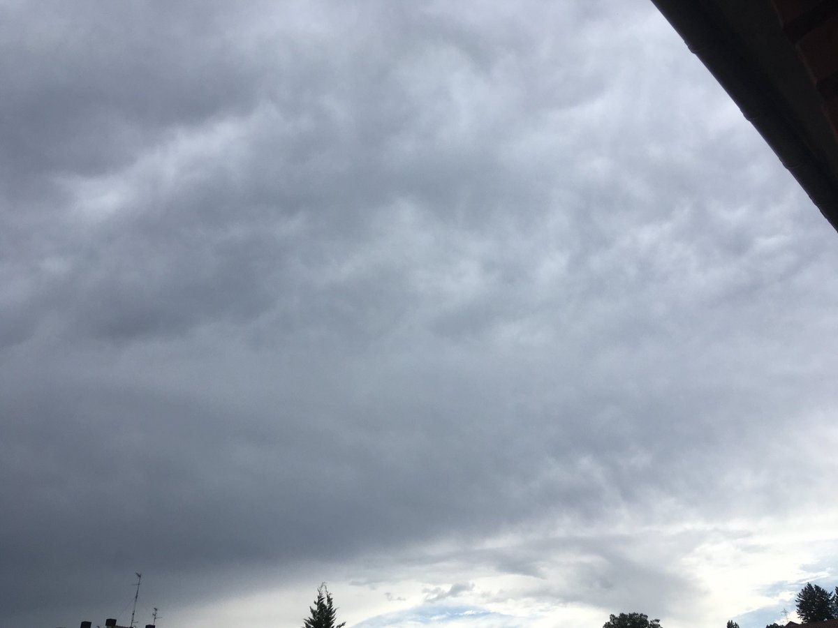 coliflor_a's tweet photo. ¡Hola, mi cielo! #comparezco https://t.co/YJXgR1eIVH