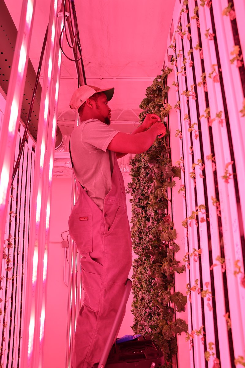 yhfarms's tweet photo. We get to work in a really cool place, and we take good care of our towers so that our produce is getting the right nutrients to flourish into delicious products for your table. #BhamFarm #YHFresh https://t.co/a9Ci9j9QOx