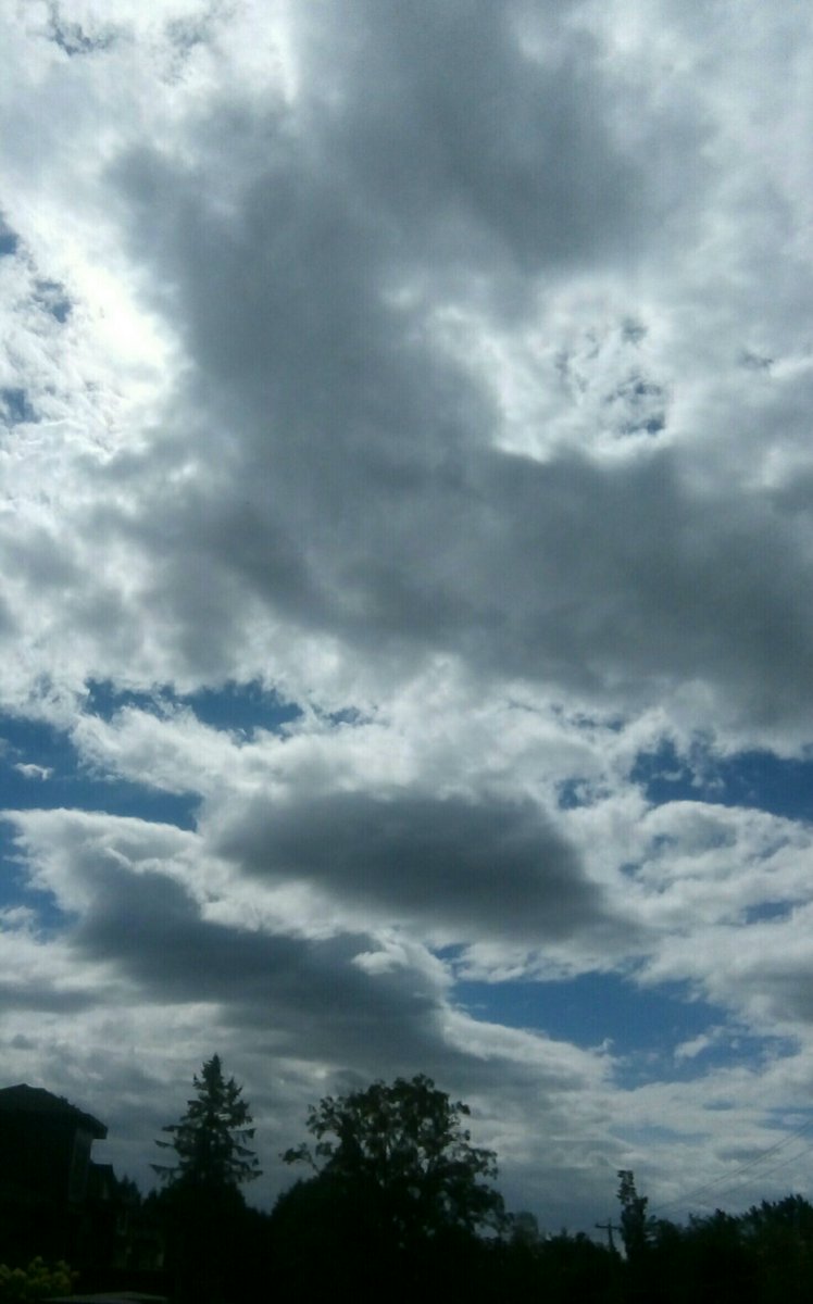 Yvette10090's tweet photo. More cloud than sky

#StormHour #ThePhotoHour #Stormhourthemes @StormHour @ThePhotoHour #cloudscape https://t.co/OGeODDWpaW