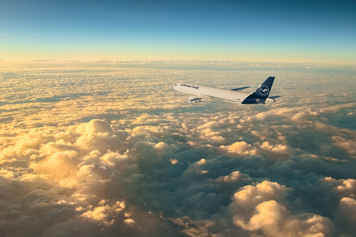 New air freight connections between continental Europe and British Isles bit.ly/3CF8oPn

#intermodal #airfreight #freighter #Lufthansa #Britain #ecommerce