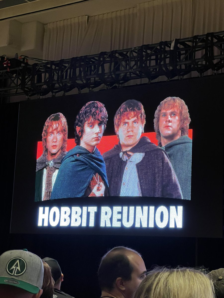 chibi_bara's tweet photo. Home from fanex TO! Spent all day Sat. In lines to see the lotr actors and they were all SO Nice! My dress was heavy and my feet died.But it was worth it! Thank you for coming to meet fans and make this happen for us! #lotr @BillyBoydActor @elijahwood @DomsWildThings  @SeanAstin https://t.co/QaqeTAH5LS