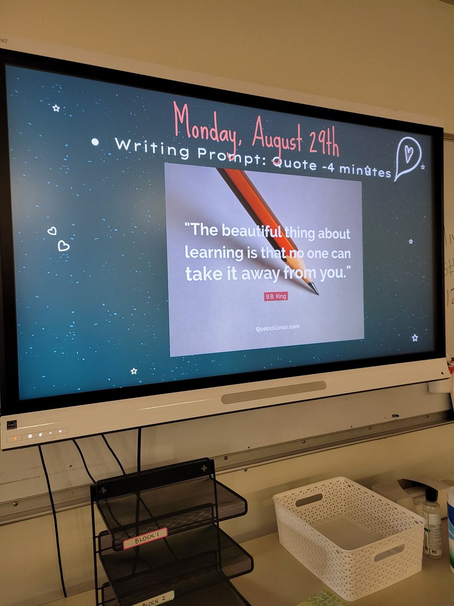 Darcy Anne tweet media