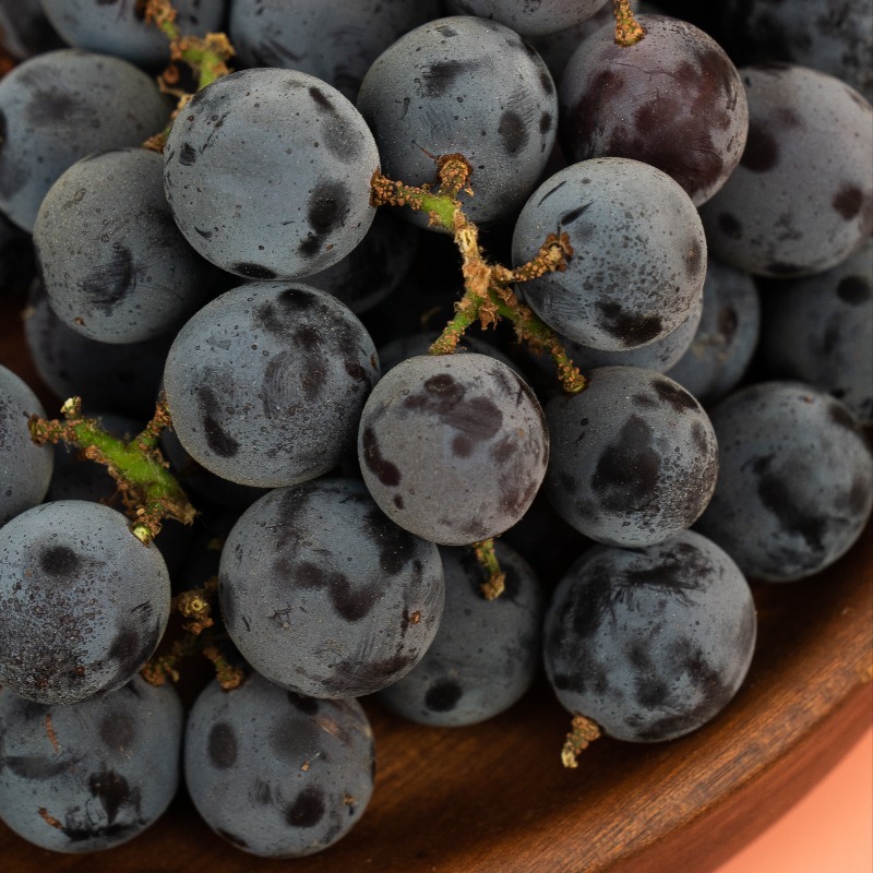 SpecialtyProd's tweet photo. Concord grapes are THE grape for classic grape flavor! #specialtyproduce #concordgrapes #grapes