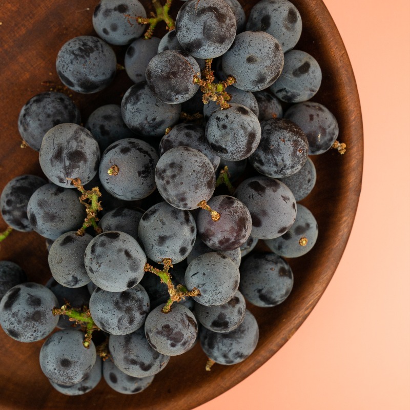 SpecialtyProd's tweet photo. Concord grapes are THE grape for classic grape flavor! #specialtyproduce #concordgrapes #grapes
