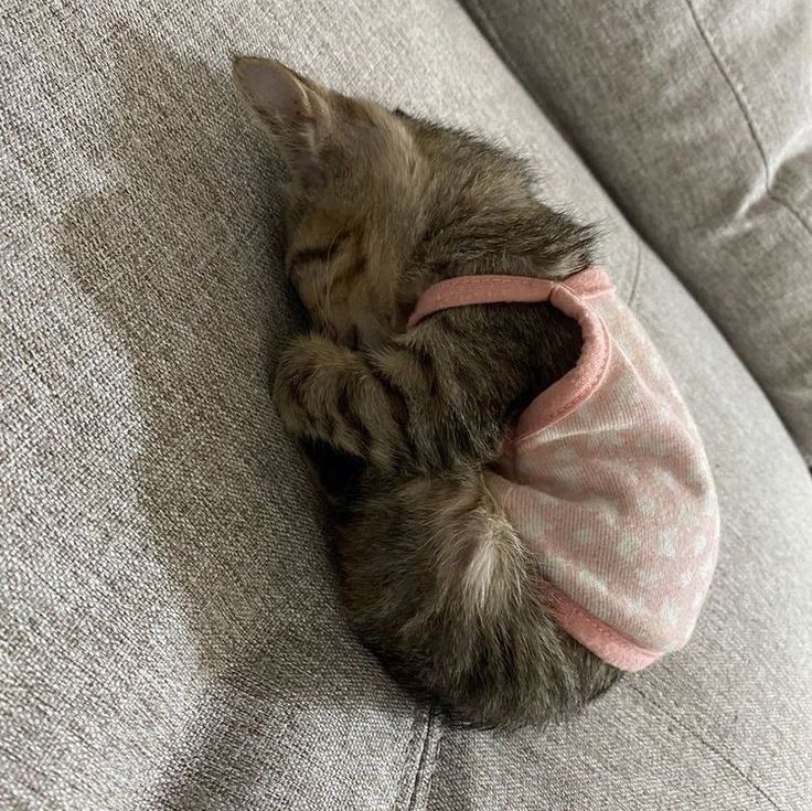 holaaaa gm díganme gm xfis