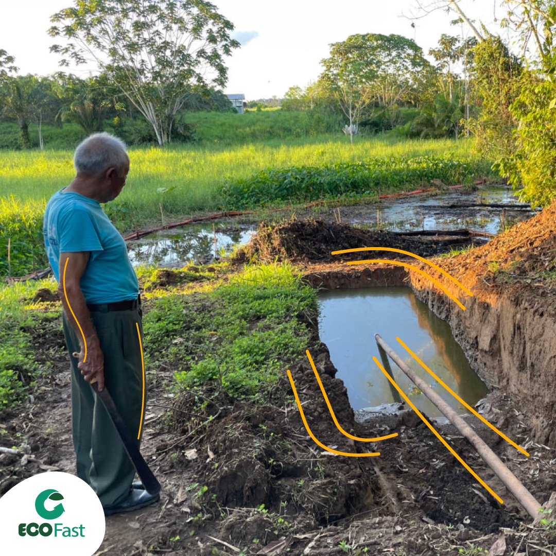 ecofast_ec's tweet photo. ¡Los tallarines de la #Amazonía!

Habitantes de Sucumbíos señalan que los oleoductos de petróleo se enredan como fideos y se derraman por su estado obsoleto. Los operadores lo único que hacen es cambiar las tuberías pero no dan una solución definitiva. 
 
Fuente: @MongabayLatam https://t.co/1zzRUzirFg