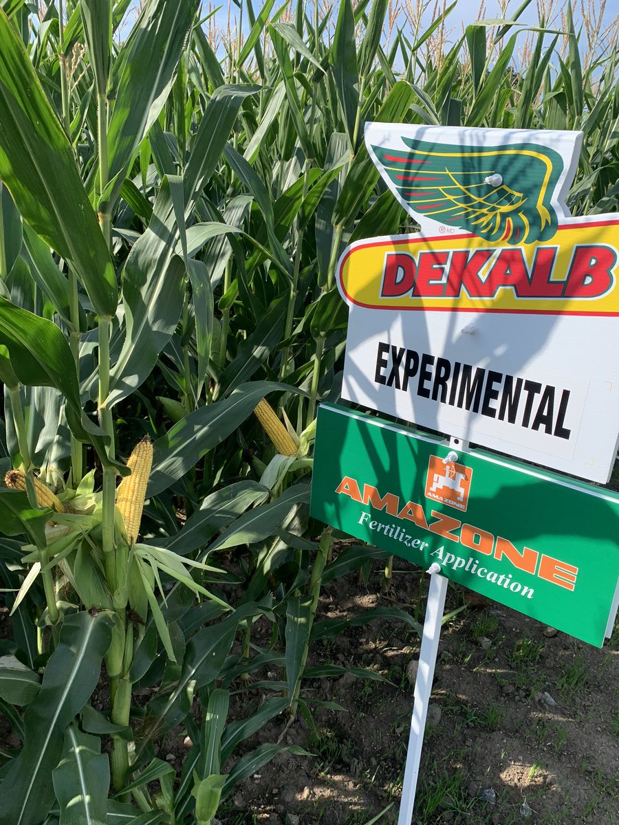 Travis MacPherson tweet media