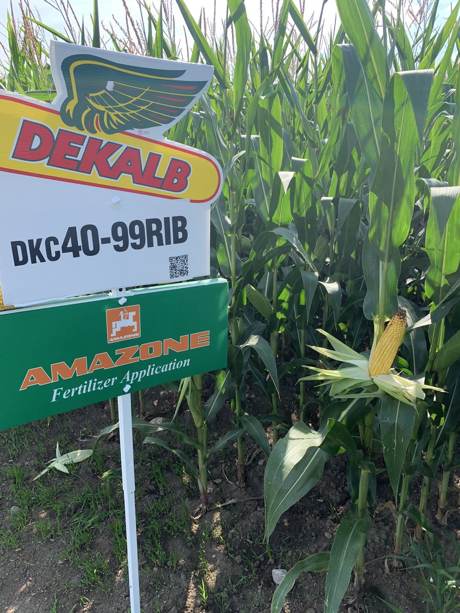 Travis MacPherson tweet media