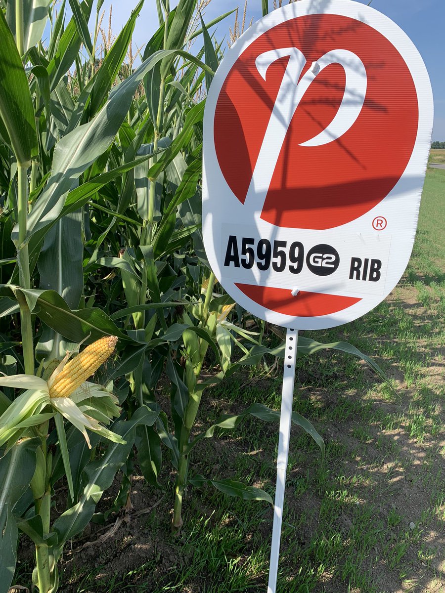 Travis MacPherson tweet media