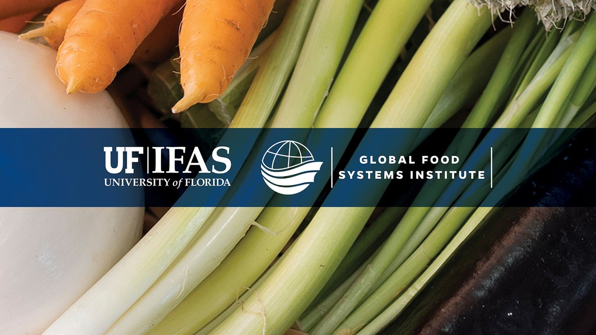 IFAS_VP's tweet photo. I'm excited to announce the creation of the Global Food Systems Institute!

Through teaching, research and Extension, the @GFSI_UF_IFAS will work to bring science-based solutions to our biggest food production challenges.

#FoodIsOurMiddleName #FoodSystems
https://t.co/Y1WcSTLFZ5 https://t.co/I9YcJURvlZ