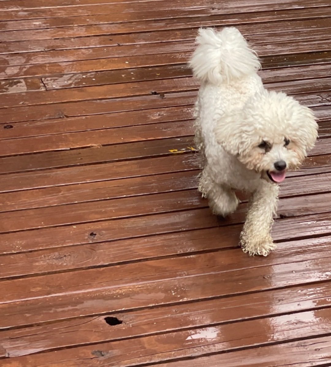 closed. (@asti9bbf) on Twitter photo 