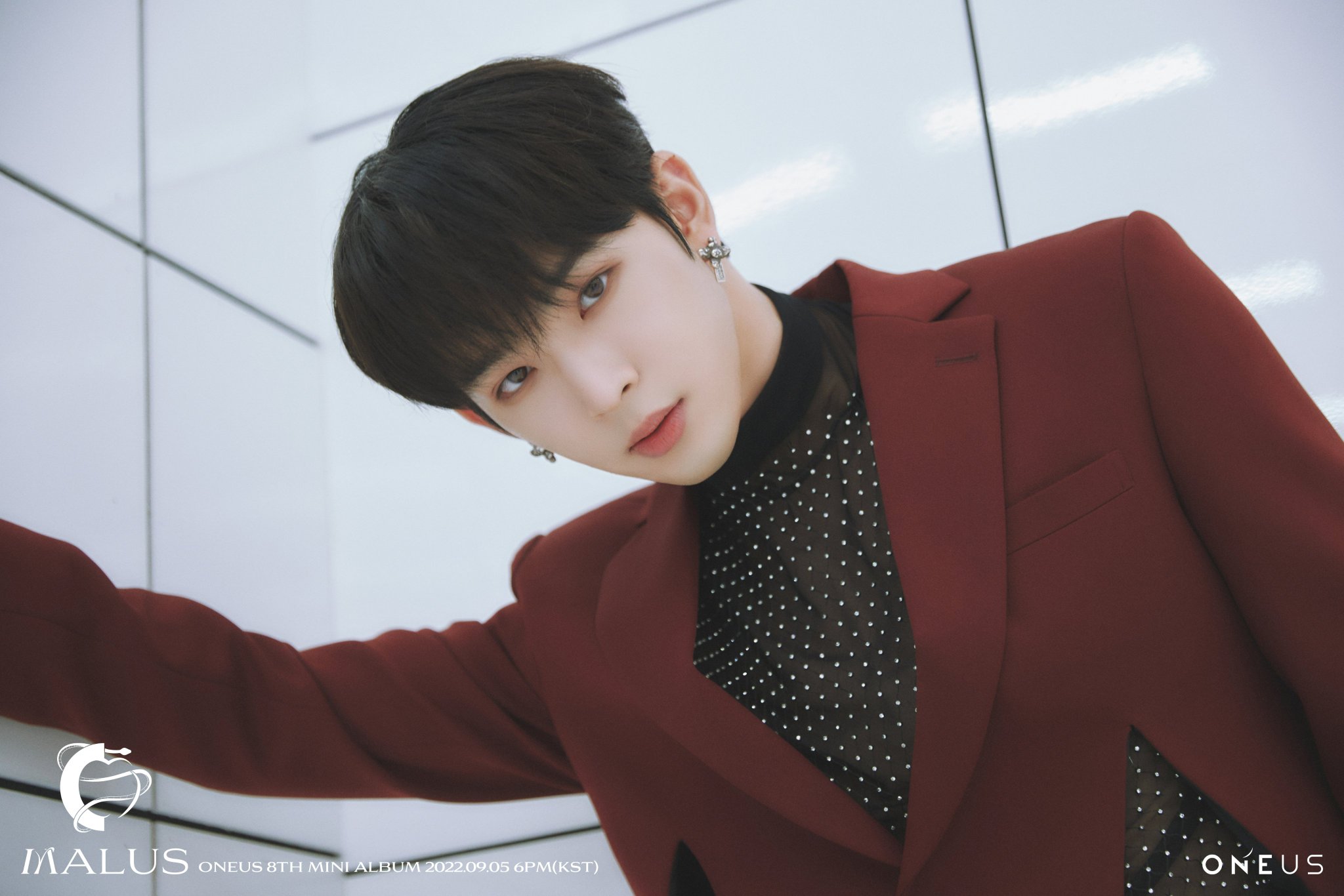 【即購入 OK】ONEUS MALUS ポラロイド　ソホ ONEUS 8TH MINI ALBUM MALUS META ALBUM PLATFORM VER