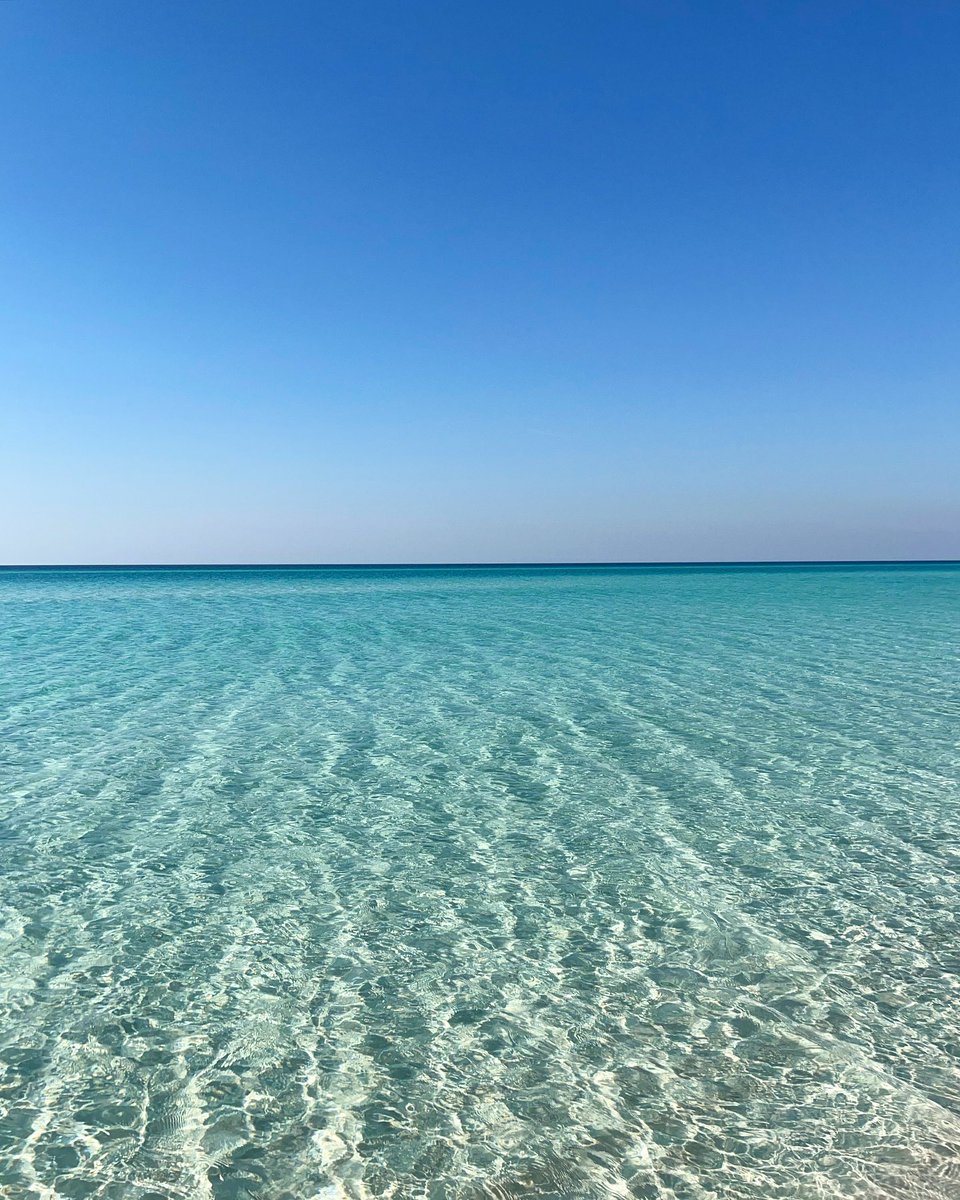 SouthWalton's tweet photo. clear water, full hearts, can't lose

📸: savvibellephotography on Insta
📍: #WatercolorFL https://t.co/DiLC1KbSRl
