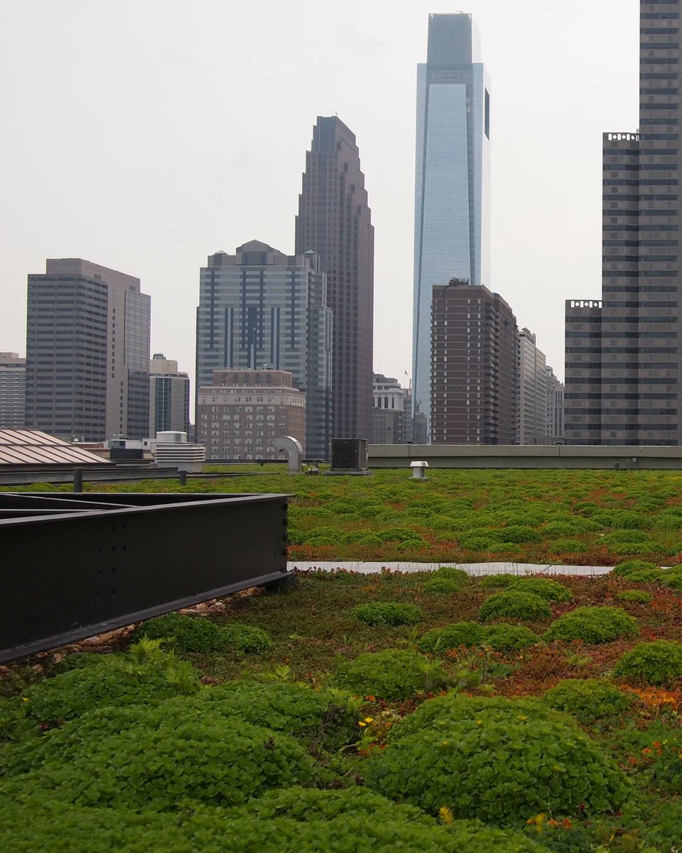 FurbishGreen's tweet photo. Often unseen unless you're in a skyscraper, @furbishgreen #greenroofsystems provide #stormwatermanagement for over a million square feet of rooftops across the US. Whether its a new construction or an overhaul - we're ready to bring your vision to life. #NatureAtWork https://t.co/fBh9jKPvE7