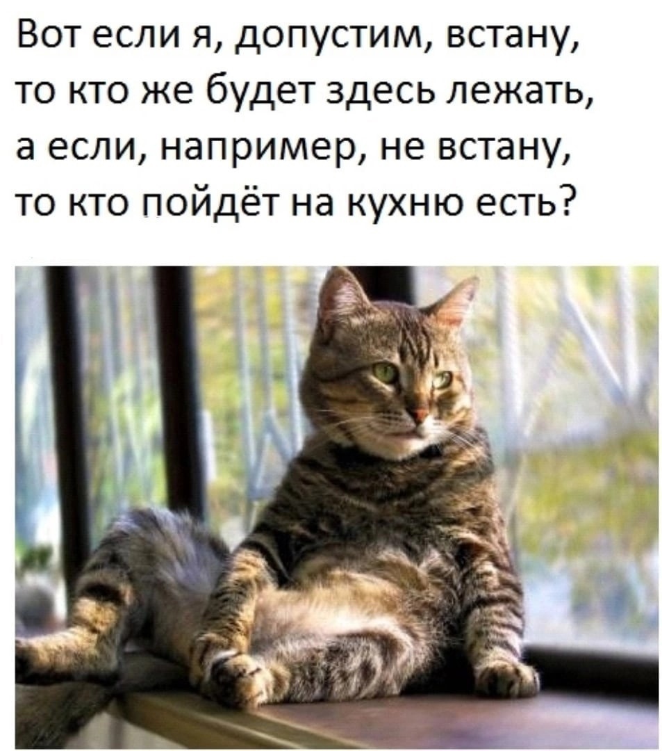Анекдоты и приколы tweet media