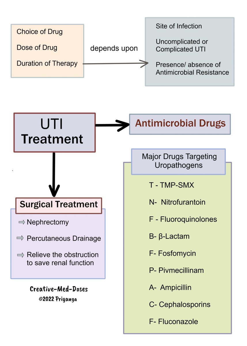 Creativemeddose's tweet photo. UTI treatment 
Reference Harrison internal medicine 
#MedEd #Foamed #UTI #nephrology https://t.co/G1kb5RbzXk