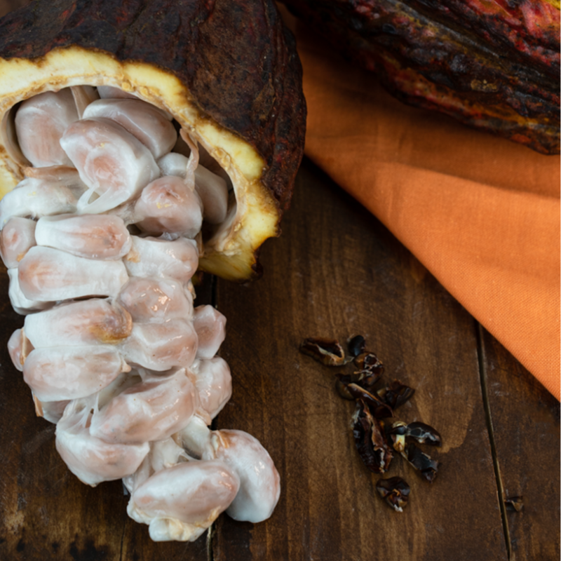 SpecialtyProd's tweet photo. This beautiful seed pod is responsible for delicious chocolate but you can also enjoy the white pulp which has a sweet-sour flavor. #specialtyproduce #cacaopods #chocolate